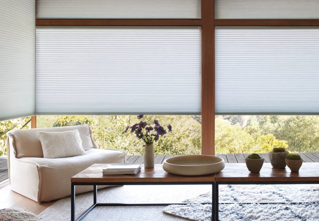 Hunter Douglas Duette® Cellular Shades with PowerView® Automation near Sioux Falls, South Dakota (SD)